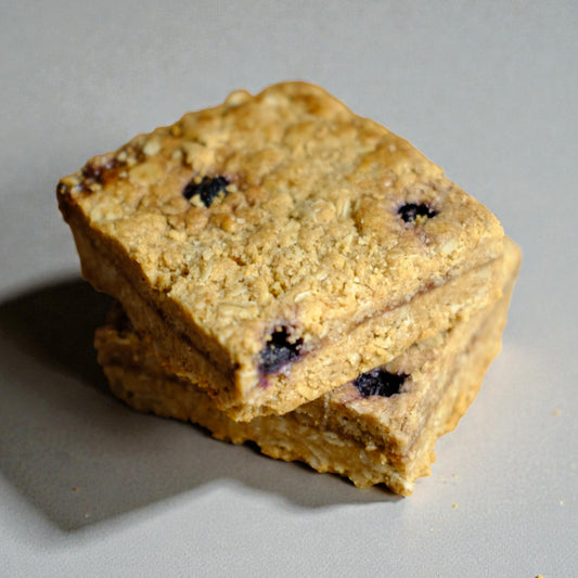 Vegan & GF Coconut Blueberry Jam Bar