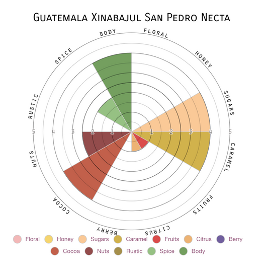 Guatemala | Single Origin