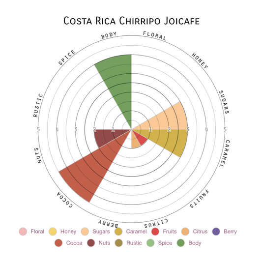 Costa Rica | Single Origin