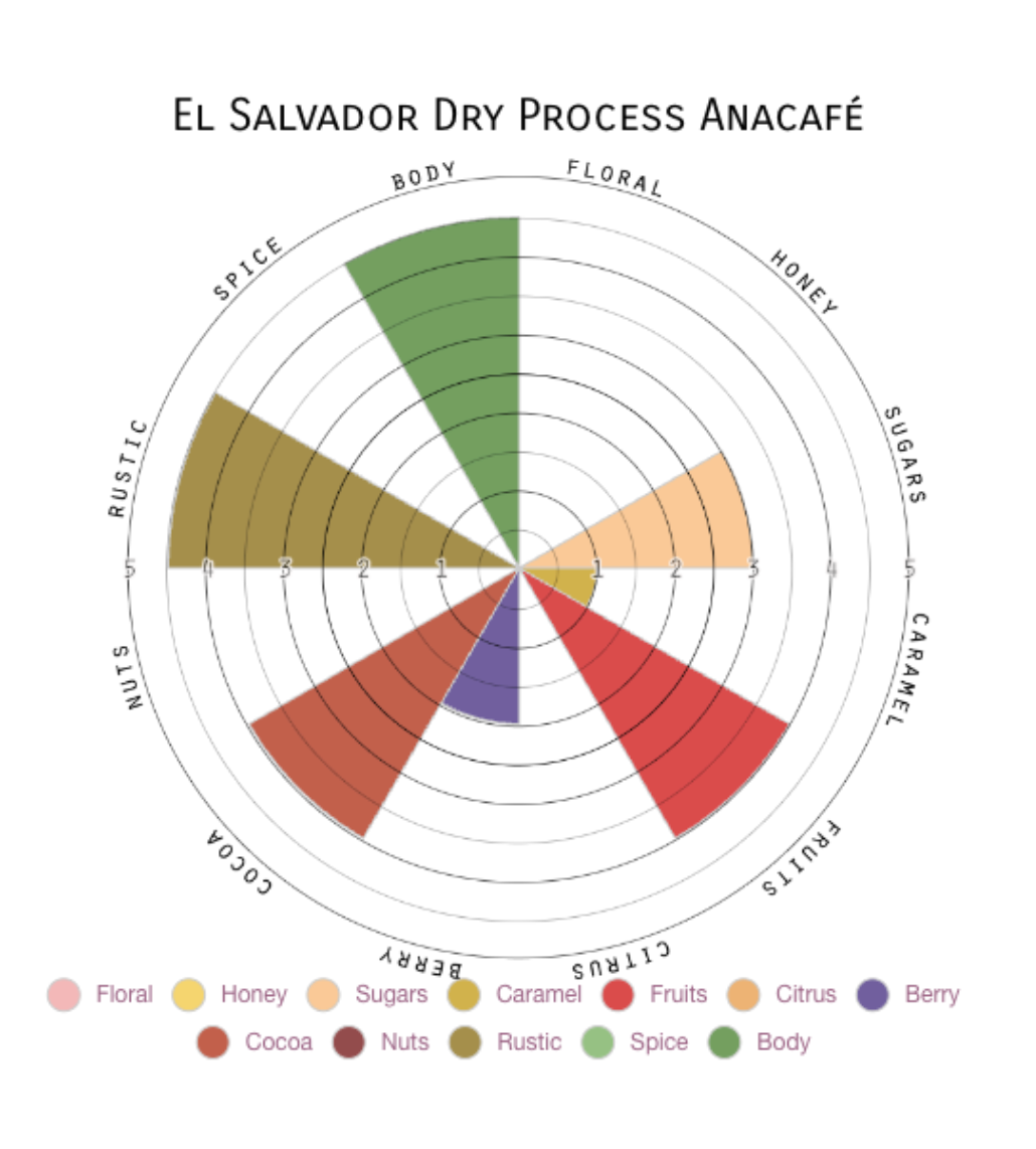 El Salvador | Single Origin (Pre-Order Now)