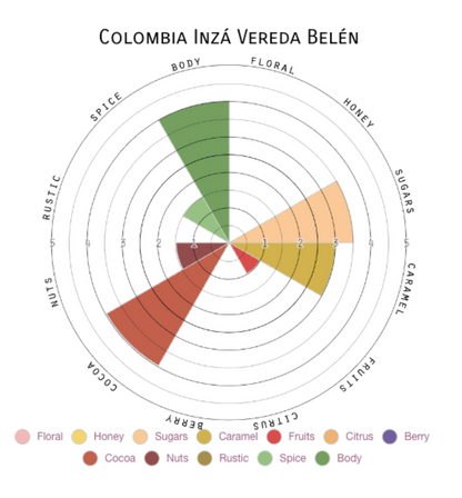 Colombia | Single Origin