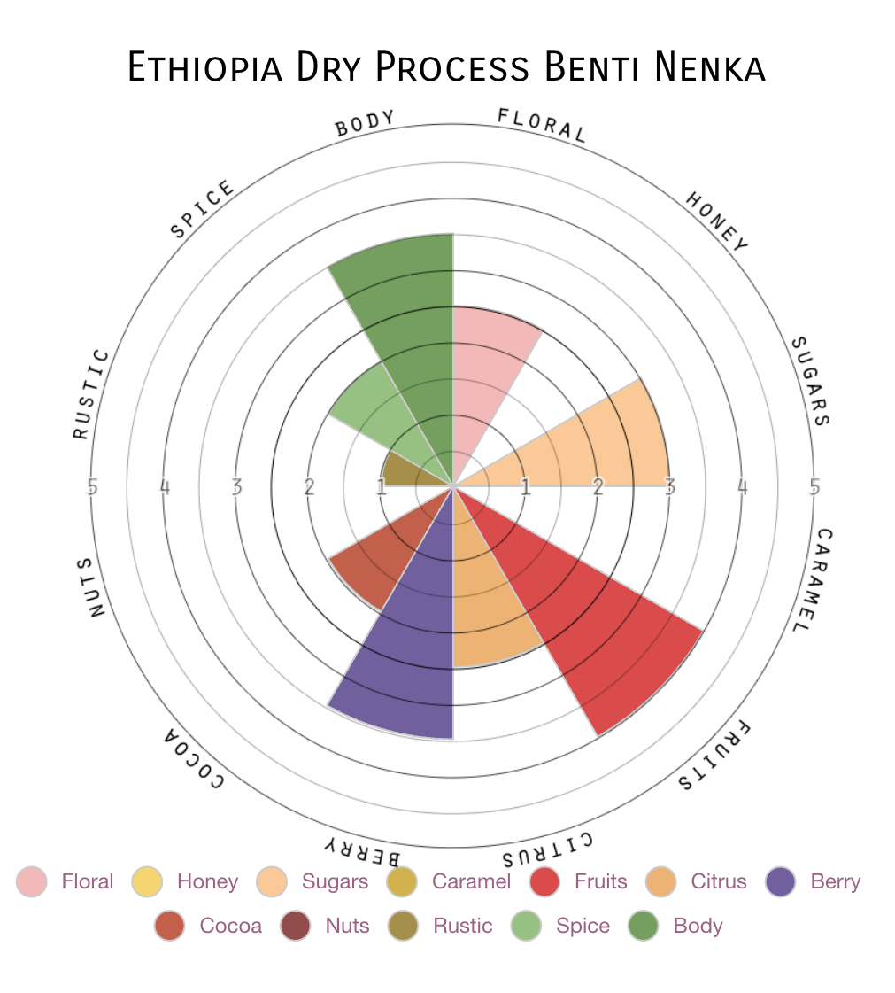 Ethiopia | Single Origin (Launch exclusive)