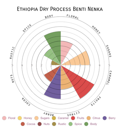 Ethiopia | Single Origin (Launch exclusive)